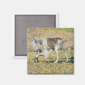 母ヤギと幼い子(Segantini) マグネット (正面/裏面)