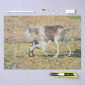 母ヤギと幼い子(Segantini) 薄葉紙 (クラフト)