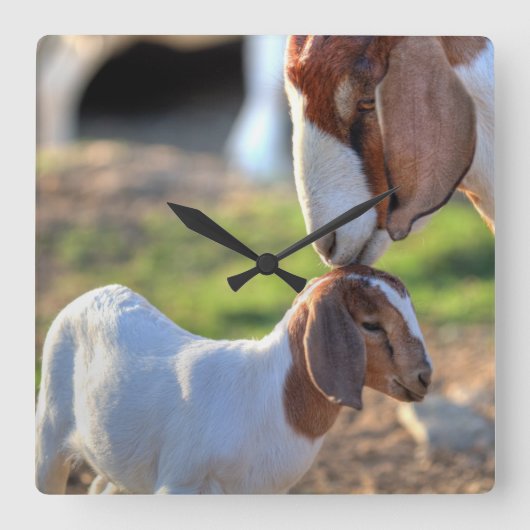 母ヤギ及びベビー スクエア壁時計 (正面)