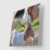 母ヤギ及びベビー スクエア壁時計 (傾斜)