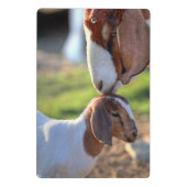 母ヤギ及びベビー ミニクリップボード (裏面)