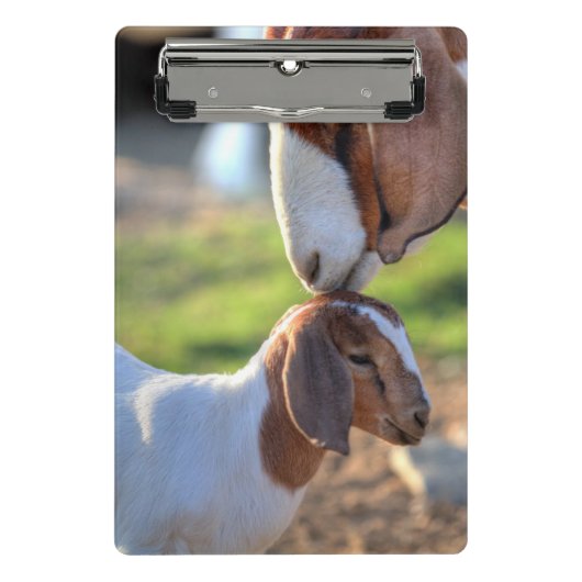 母ヤギ及びベビー ミニクリップボード (正面)