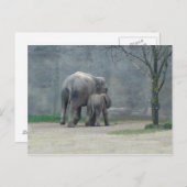 母ラブエレファントハガキ ポストカード (正面/裏面)