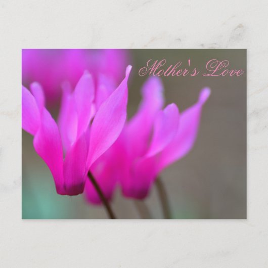 母ラブ2 ポストカード (正面)