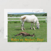 母リラックスの日に！ ポストカード (正面/裏面)