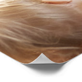 母乳育児 ポスター (角)