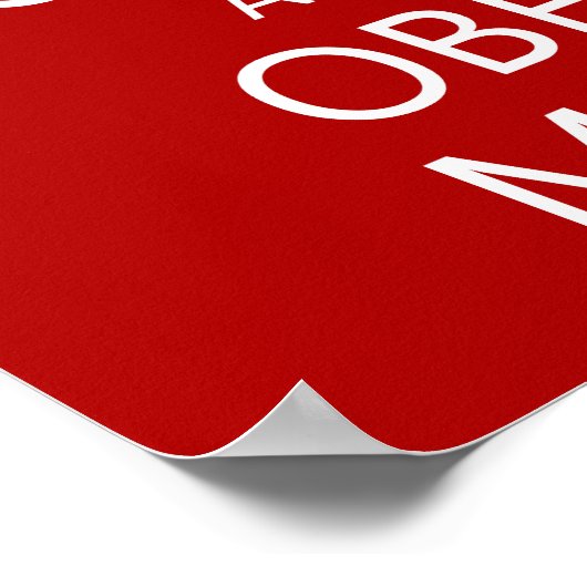 母保に従う ポスター (角)