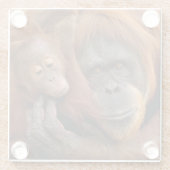 母及びベビーのオランウータン ガラスコースター (裏面)