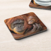 母及びベビーのオランウータン コースター (左側)