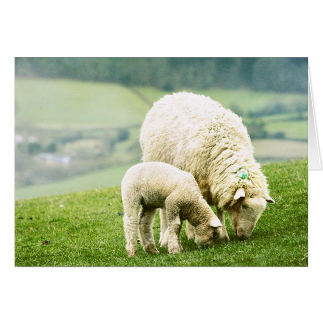 母及びベビー (正面横)