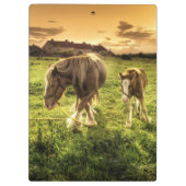 母及び子馬の馬 クリップボード (裏面)