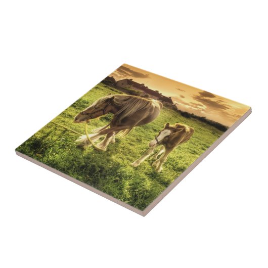 母及び子馬の馬 タイル (側面)