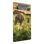 母及び子馬の馬 ミニクリップボード (アングル)