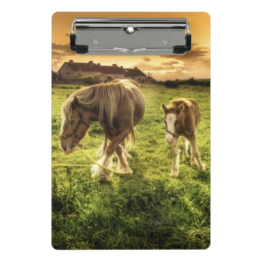 母及び子馬の馬 ミニクリップボード (正面)