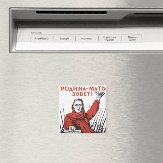 母国 マグネット (インサイチュ (食洗機))