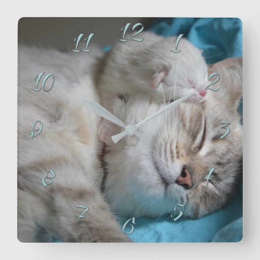 母子猫 スクエア壁時計 (正面)