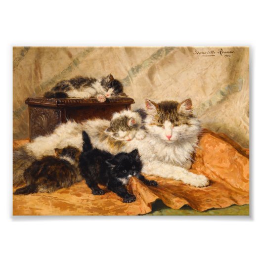 母子猫 フォトプリント (正面)