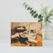 母子猫 ポストカード (スタンド正面)