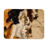 母子猫 マグネット (横)