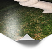 母子石彫刻 フォトプリント            (角)