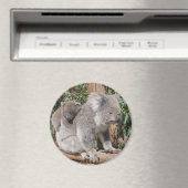 母子磁石 マグネット (インサイチュ (食洗機))