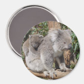 母子磁石 マグネット (正面/裏面)