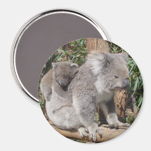 母子磁石 マグネット (正面/裏面)