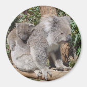 母子磁石 マグネット (正面)