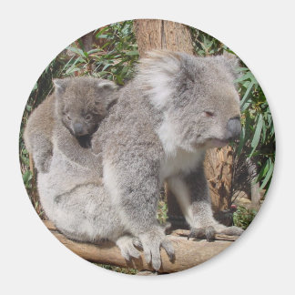 母子磁石 マグネット