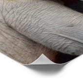 母子象 ポスター (角)