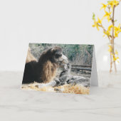 母子 カード (黄色い花)