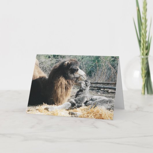 母子 カード (正面)