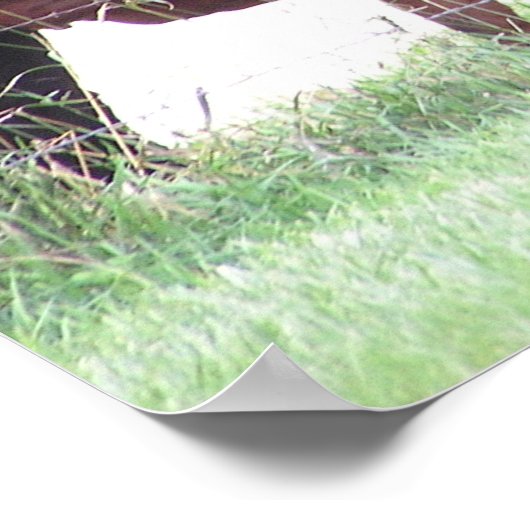 母子 ポスター (角)