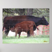 母子 ポスター (正面)