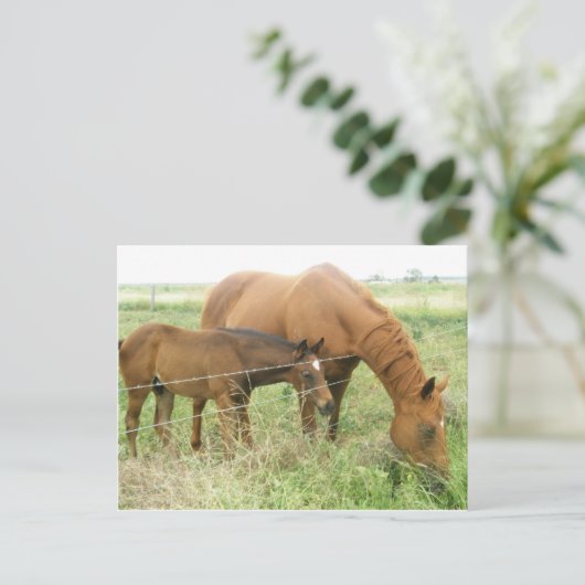 母子 ポストカード (スタンド正面)