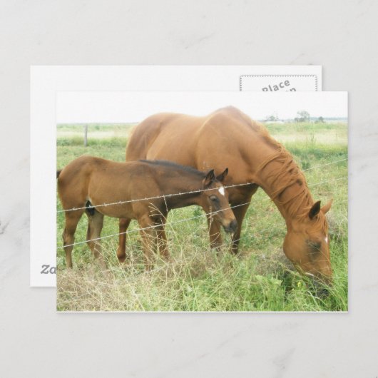 母子 ポストカード (正面/裏面)