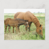 母子 ポストカード (正面)