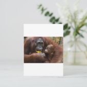 母子 ポストカード (スタンド正面)