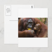 母子 ポストカード (正面/裏面)