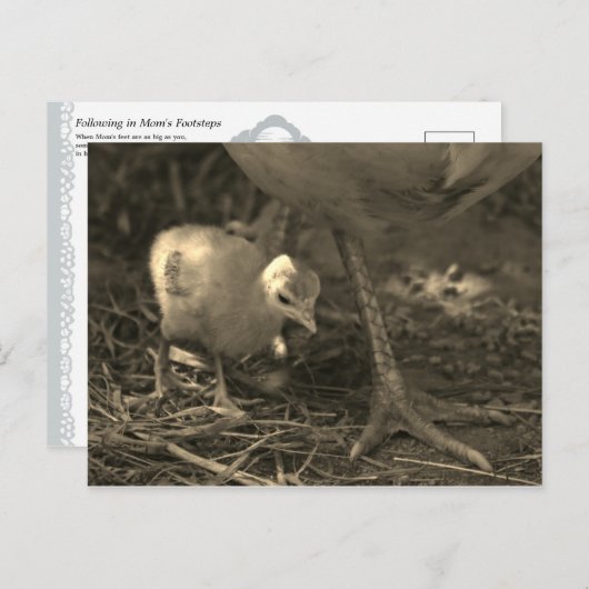 『母後を追の足跡』 ポストカード (正面/裏面)