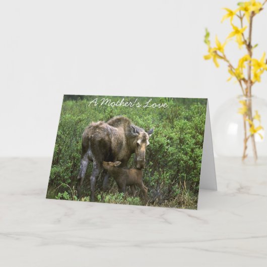 母性愛 カード (黄色い花)