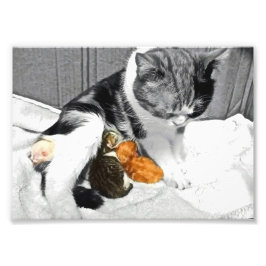 母性 フォトプリント           