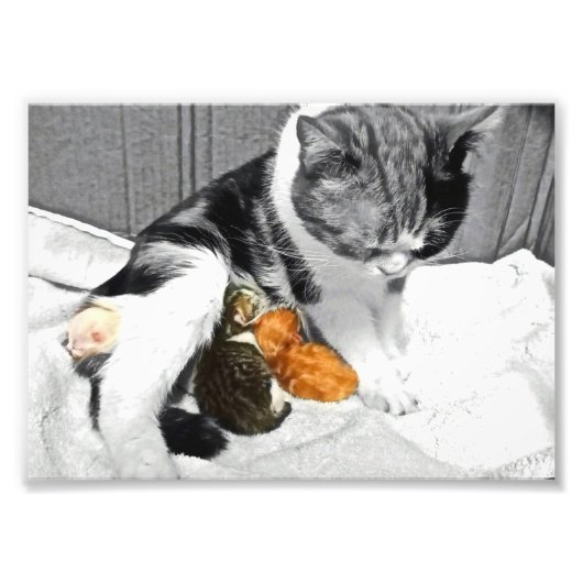 母性 フォトプリント            (正面)