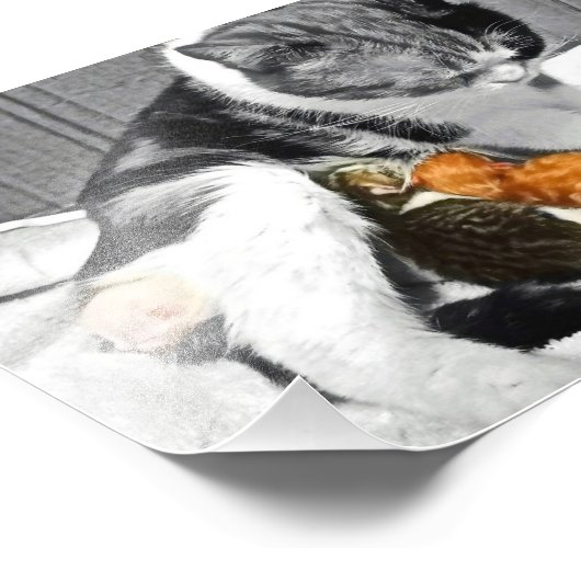 母性 フォトプリント            (角)