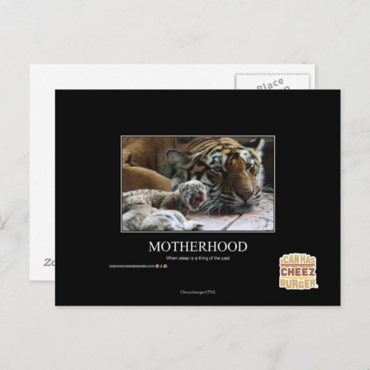 母性 ポストカード (正面/裏面)