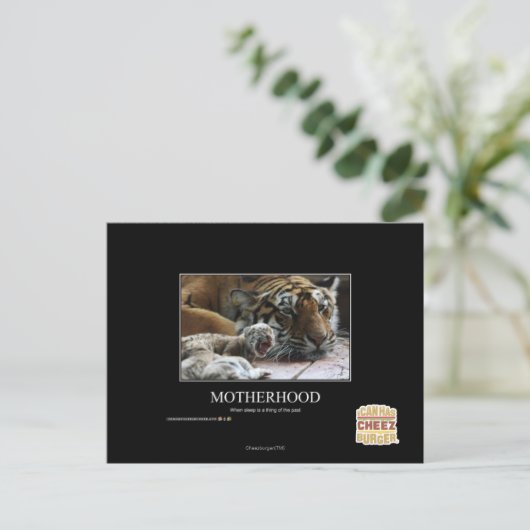 母性 ポストカード (スタンド正面)