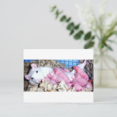 母性 ポストカード (スタンド正面)