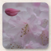 母愛撫 コースター (正面)