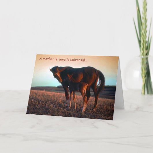 母愛 カード (正面)