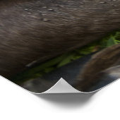 母愛 ポスター (角)